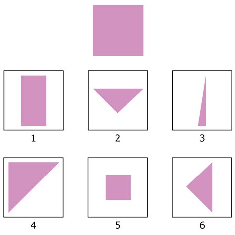 Wisc V Testing Practice 的图像结果