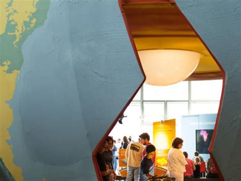 Earthquake. Courtesy of California Academy of Sciences | California ...