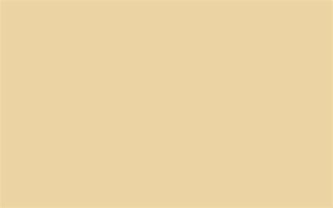 [100+] Cream Color Backgrounds | Wallpapers.com