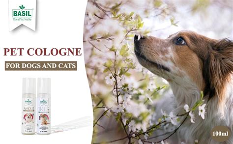 Buy Basil Amour Pet Cologne Spray - Smelling Refreshing with Long ...