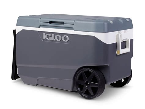Coolers recalled after multiple fingertip amputations, fractures and ...