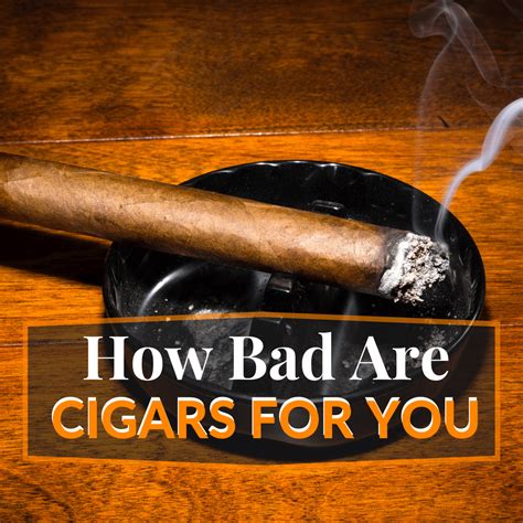 Beginner's Guide to Cigars 101: Explore Blends and Master Cigar World