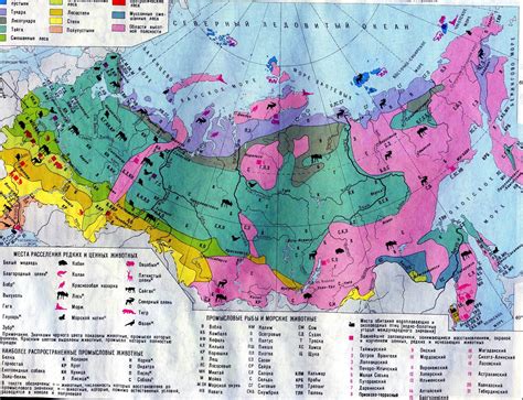 Природная зона Тундра в России (описание, на карте): природа, животные ...