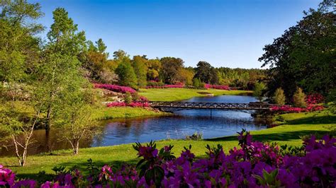 145 Fun Facts About Alabama That Will Surprise!