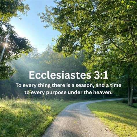 The Wheat and the Tares: Separating the Righteous from the Wicked ...