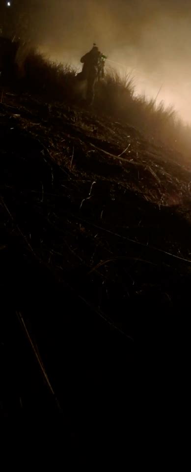 Image result for Alien Covenant Archive