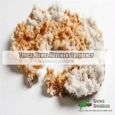 Python Poop 的图像结果