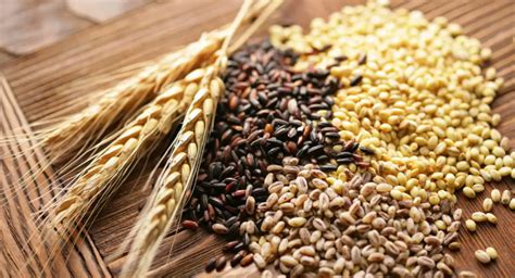 进口食品批发|全球小麦市场：黑海谈判取得进展，收获压力沉重，麦价下跌