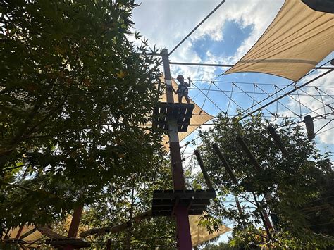SPARTI PLATRES ROPE ADVENTURE PARK (2026) All You Need to Know BEFORE ...