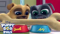 puppy pals wallpaper theme song puppy pals disney junior puppy pals wallpaper theme song puppy pals disney junior