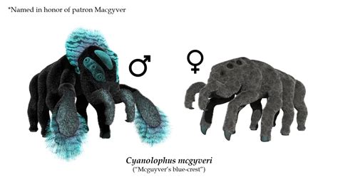 Image result for Alien Biospheres