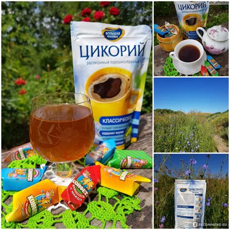 Цикорий Большая чашка Классический - «Квас из цикория в домашних ...
