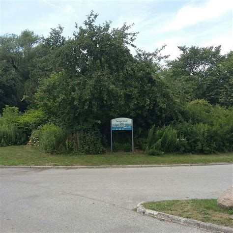 TORONTO ISLAND BICYCLE RENTAL (2026) All You Need to Know BEFORE You Go ...