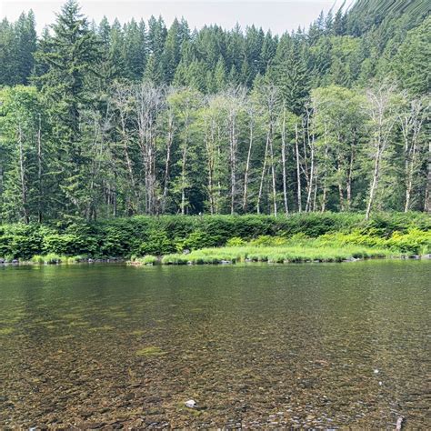 Tillamook State Forest Nehalem Falls Campground | Tillamook State ...