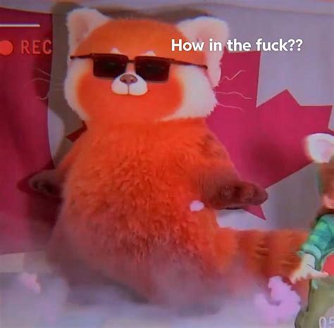 Me after finding the mf who made r34 of turning red : TurningRed