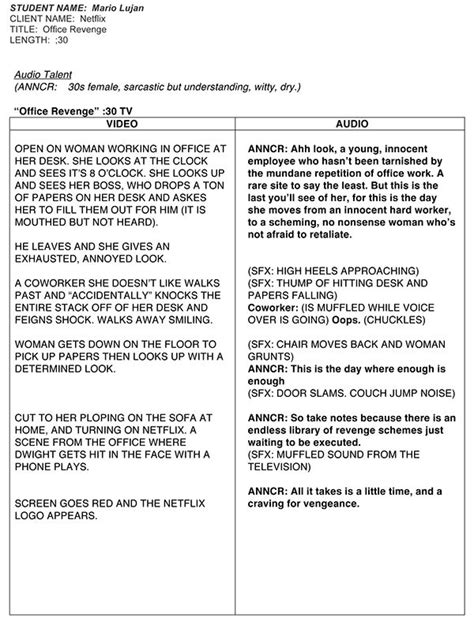 Commercial Script Example 的图像结果