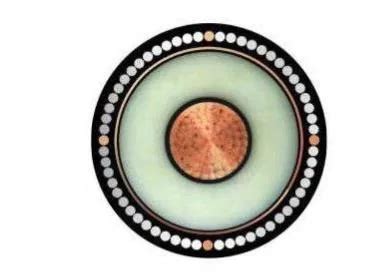 Company Overview - Zhengzhou Aobest Electronic Technology Co., Ltd.