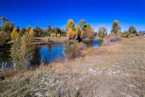 Land for Sale Near Jackson | Swan Valley Cottonwood Lots