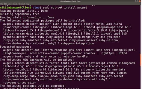 Image result for Debugging Puppet Installation Coursera