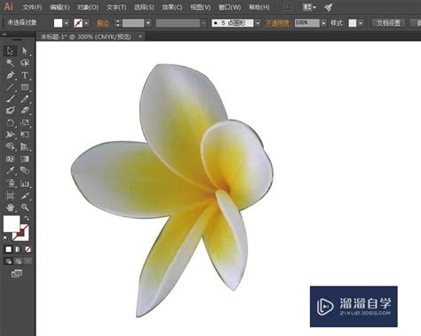 Ai 如何抠图 的图像结果
