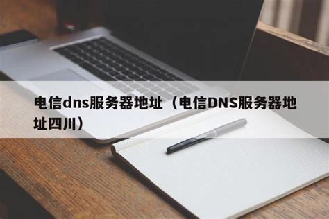DNS服务器地址怎么填？(域名 dns) - 世外云文章资讯