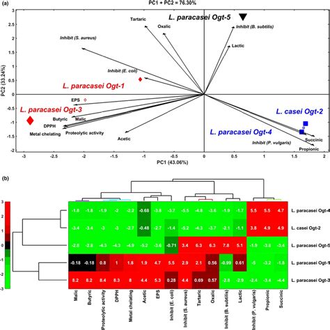 PCA in Biostatistics 的图像结果