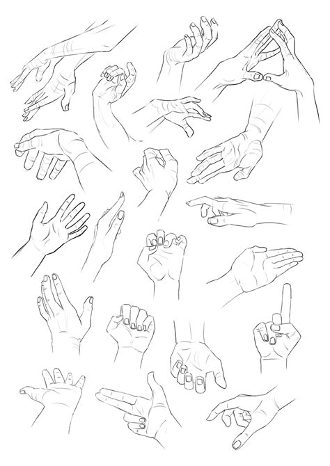 Language and Behavior Human Figure 的图像结果