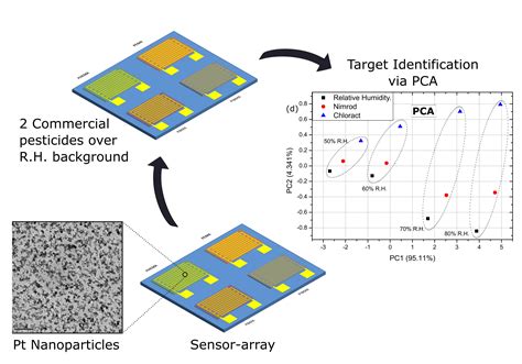Identification of Two Commercial Pesticides by a Nanoparticle Gas ...