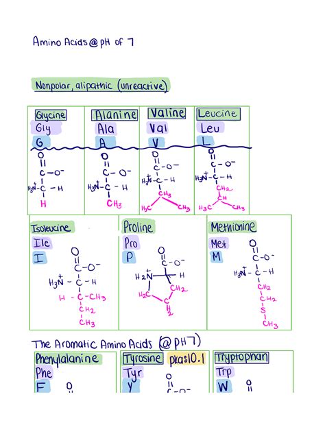 Amino Acid Structure Mnemonic at Maggie Parham blog