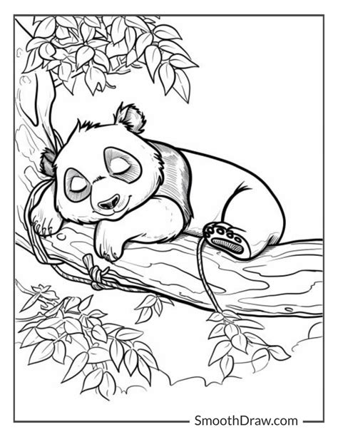 41 Panda Coloring Pages (Free Printable PDFs)