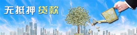 上海无抵押贷款_个人无抵押贷款条件_银行成功案例分析_新浪上海