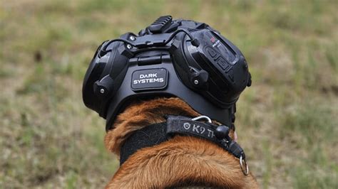 Photos: New helmet to shield military dogs in the line of duty ...
