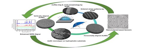 Department of Physics