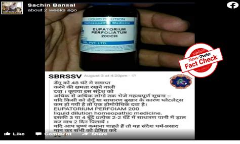 Fact Check: Can 'Eupatorium Perfoliatum 200 CH' cure dengue fever in ...