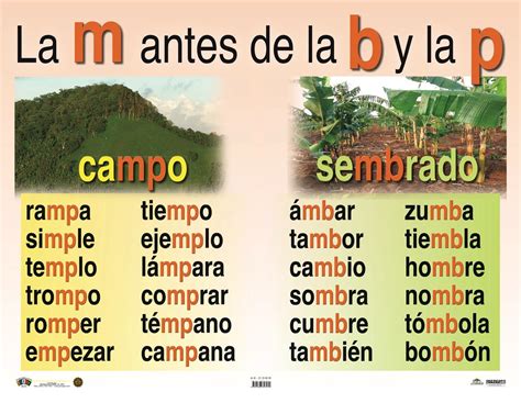AE-C369 Uso de la M antes de B y P | Ortografia basica, Lectura y ...