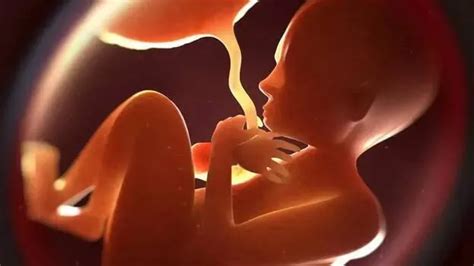 Aborts pregnancy to hide relationship, throws foetus in drain - INDIA ...