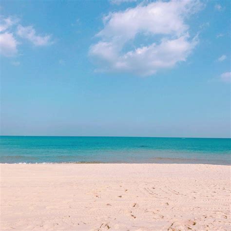 Spring Beach Vacation 的图像结果