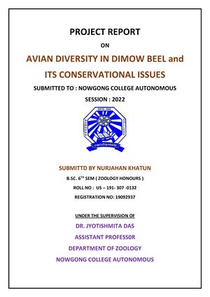 IP3 and DAG Signaling Pathway - IP3 and DAG Signaling Pathway Chemical ...