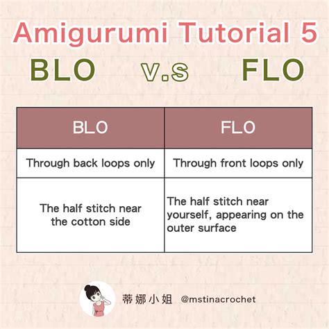 Flo Tutorial 的图像结果