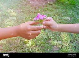 Image result for Animals Giving Flowers