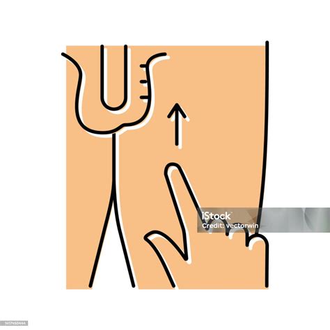 Image result for Cremasteric Reflex Function