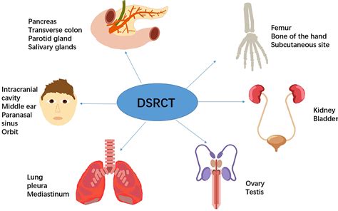 Frontiers | Intra-Abdominal Desmoplastic Small Round Cell Tumor ...