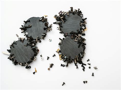 Biology Chapter 16 Final Exam Flashcards