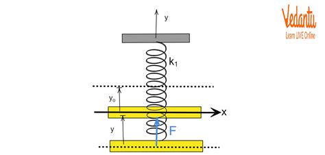 Spring Block System 的图像结果