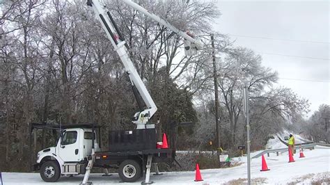 Exploding Trees Video 的图像结果