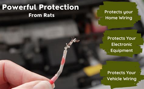 URBA Rat Repellent Spray For Car, Eco Friendly Rat Repellent Spray for ...