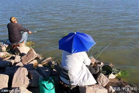 印度男子用塑料瓶当鱼漂，结果钓了两条大鱼，太兴奋了_鱼漂_大鱼_结果