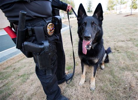 K9 Units - Custom Tailor To Your K9 Team