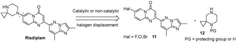 Comprehensive Risdiplam Synthesis Overview: From Cross-Coupling ...