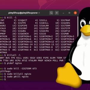 Image result for Linux Stop-Process